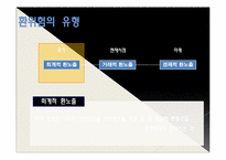 [국제경영] 글로벌 경영 활동의 재무적, 회계적 통제-4
