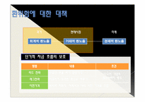 [국제경영] 글로벌 경영 활동의 재무적, 회계적 통제-7