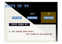 [국제경영] 글로벌 경영 활동의 재무적, 회계적 통제-8
