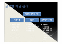 [국제경영] 글로벌 경영 활동의 재무적, 회계적 통제-16