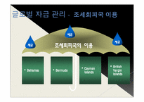 [국제경영] 글로벌 경영 활동의 재무적, 회계적 통제-19