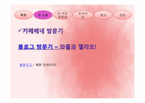 [경영학] 후발주자로서의 `카페베네`의 마케팅 전략-5
