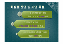 [회계원리] 아모레퍼시픽 vs LG생활건강 재무분석(~2009)-3