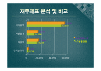 [회계원리] 아모레퍼시픽 vs LG생활건강 재무분석(~2009)-6