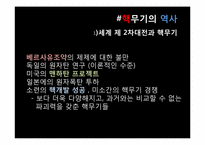 [국제정세의 이해] 핵확산과 국제전쟁-4