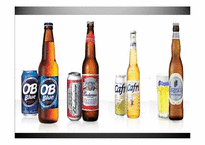 [재무관리] 오비맥주(OB) VS 하이트맥주(HITE) 재무제표 분석(~2009)-7