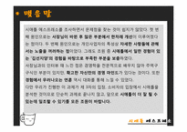 [생산운영관리] 커피전문점 `시애틀 에스프레소` 생산전략-17