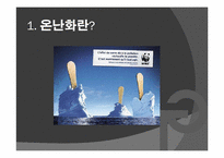 [환경문제] 지구 온난화에 대한 편견과 탄소배출권-2