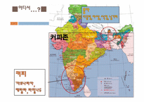 [동아시아 문화] 인도 사상과 문화-인도의 차와 커피-3