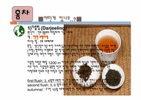 [동아시아 문화] 인도 사상과 문화-인도의 차와 커피-5