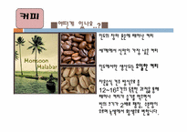 [동아시아 문화] 인도 사상과 문화-인도의 차와 커피-10