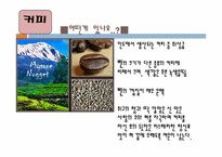 [동아시아 문화] 인도 사상과 문화-인도의 차와 커피-11