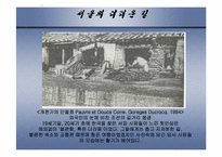 [한국 근대사] 독립신문-그 한계와 방향을 중심으로-9