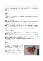 [생물학] 암 생물학 및 암 질병-4