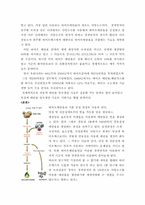 [환경공학] 지구 온난화의 대책-에코연료 바이오에탄올의 문제점과 개선방향 조사-2
