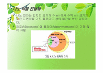 [제약공학] 난용성 약물 가용화 방법(Solubilization of non-soluble drug)-10