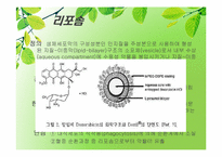 [제약공학] 난용성 약물 가용화 방법(Solubilization of non-soluble drug)-11
