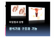 [간호학] 생식기의 구조와 기능-1