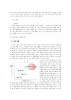 [국제경영] 농심의 중국시장 진출 전략-6