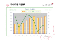 [마케팅관리론] 미샤(missha)의 마케팅 성공 전략-2
