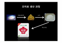 [글로벌경영전략] 미원의 인도네시아 진출 전략-5
