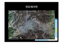 [글로벌경영전략] 미원의 인도네시아 진출 전략-8