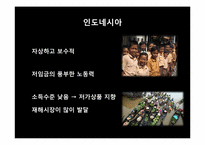 [글로벌경영전략] 미원의 인도네시아 진출 전략-10