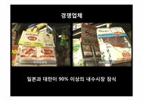 [글로벌경영전략] 미원의 인도네시아 진출 전략-12