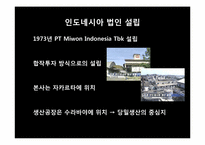 [글로벌경영전략] 미원의 인도네시아 진출 전략-13