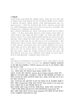 디젤 마케팅 및 광고 전략-2