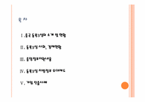 중국 동북3성 발전 정책-2