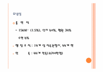 중국 동북3성 발전 정책-12