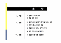 환율변동이 경제에 미치는 영향-2