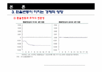 환율변동이 경제에 미치는 영향-14