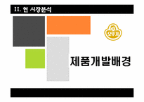 오뚜기 카레 제품개발 마케팅 전략-3