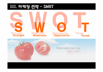 오뚜기 카레 제품개발 마케팅 전략-11