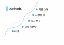 닌텐도 wii 위 마케팅전략-3
