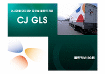 CJ GLS 물류 시스템-1