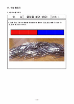 초등학교 과학과 교수,학습 과정안(2단원 자석놀이-(2) 자석의 극찾기)-11