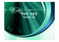 미국의 미혼모 레포트-1
