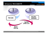 경영전략사례 Hoechst 사례-8