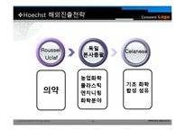 경영전략사례 Hoechst 사례-12