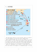 [연평도사태]북한의 연평도 도발에 따른 영향과 대처방안 보고서-3