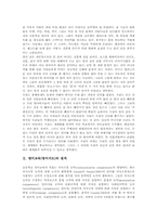 영어교육(영어지도)원칙,평가, 영어교육(영어지도)과 멀티미디어,키팔, 영어교육(영어지도)과 영어뮤지컬, 영어교육(영어지도)활성화사례,방법 분석-3
