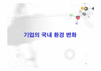 기업환경변화와 대응방안(아시아나항공 CRM 도입전략 연구 -단계별 도입전략 중심으로-)-9