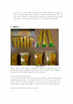 [마케팅 조사론] 믹스커피 시장에서의 테이스터 초이스 브랜드 마케팅 전략-12