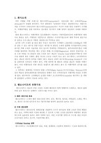 [국제경영] 쌤소나이트 Samsonite의 생산 및 연구개발활동 사례-2