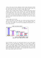 [경영학] 까르푸 한국시장 진출 실패 요인 분석-4