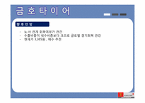 [투자론] 금호타이어, LG화학, LG전자, 현대차, 현대백화점 투자 포트폴리오 및 향후 전망-6