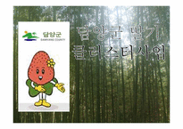 [관광마케팅] 담양군 딸기 클러스터 사업-1